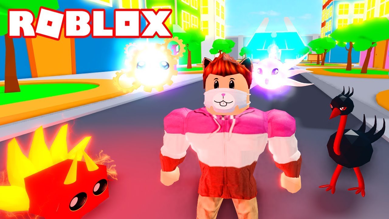 Nueva Ciudad Pets Y Zona Gyms Roblox Pet Trainer Simulator - pet simulator pokemon pet trainer simulator roblox