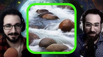 What Nature Can Teach Us about Life