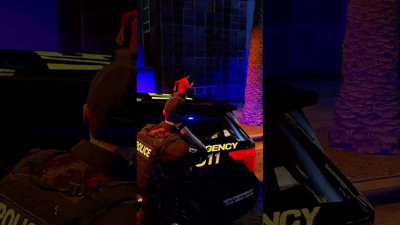 Подозреваемый сопротивляется аресту! - GTA V LSPDFR