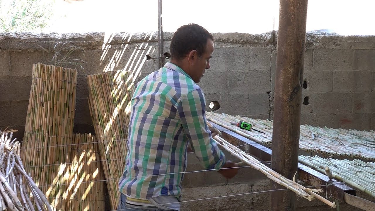 القصب من الطبيعة إلى زينة تصنع عبر الأجيال