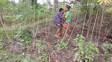 Kaliwatu vidios, maling singkong