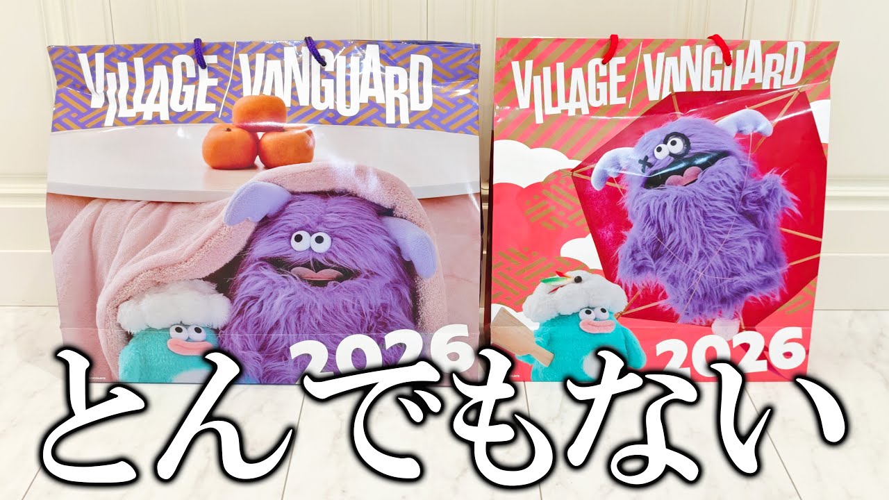 ヴィレヴァン福袋がさすがヴィレヴァンすぎた