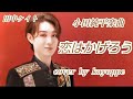 新曲【恋はかげろう】田中ケイト(小田純平楽曲) cover 🎤kayoppe  《小田純平楽曲cover100曲目💐》