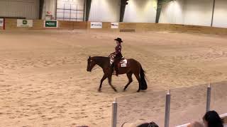 2018 AQHA Level 1 Novice Championships Horsemanship