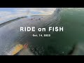 31【台風15号】早くてワイドな胸肩オフシュアの波。 pov surf fish insta360 x3  2023.10.14  #31