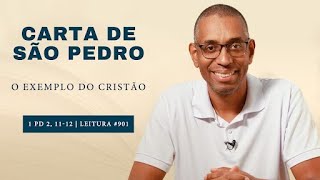 #901 The Example of the Christian 1 Peter 2:11-12 | Spiritual Diary | 1 Peter | Reading Plan