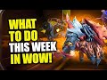 Things To Do This Week: Delves Bonus, Easy Transmogs, Big XP/REP Buff! WoW The War Within 11.1.5