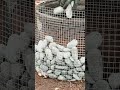 Turning Rim Into a Campfire!