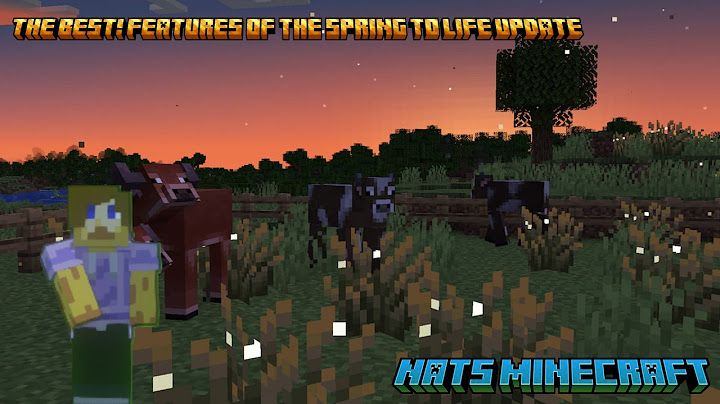 My FAVOURITE! Features Of The Spring To Life Drop