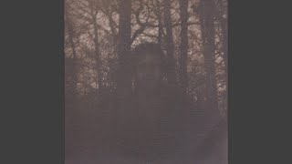 Monkey Talk Net Worth