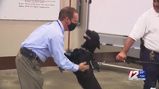 Bristol County Sheriff's Office debuts first K9s trained to detect COVID-19 Bristol County Sheriff's Office debuts first K9s trained to detect COVID-19