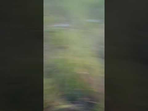 Acidente Gol Turbo. - YouTube ANECHINIK MOTORSPORT