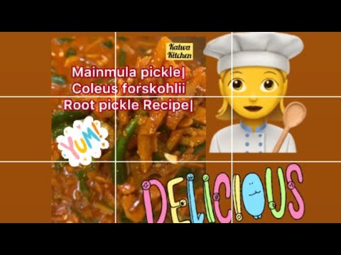 Mainmula pickle| Coleus forskohlii Root pickle Recipe| Tasty pickle ...