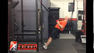 INVERTED ROW - w/Pause (Straps)