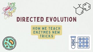 Directed Evolution: How We Teach Enzymes New Tricks Net Worth