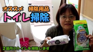 【おすすめ】ズボラでも続けられる使い捨て流せるトイレブラシを使用して簡単にトイレ掃除する除菌ポイントと風水ミニ知識