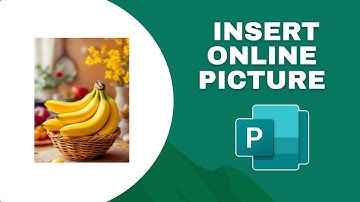 How to Insert Online Picture in Microsoft publisher