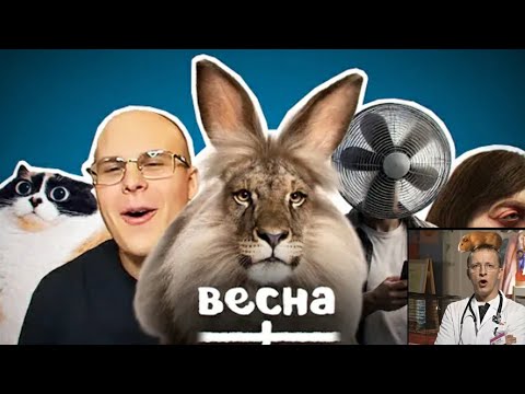 Реакция на Небуди - ВСЕ МЕМЫ ВЕСНЫ.