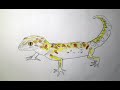 Рисуем гекона за 3 минуты (How to draw a lizard)