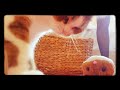 振動ハムスターぜんまいおもちゃ♥