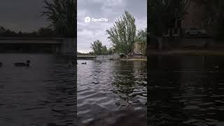 Baño Increíble Cerca de Madrid  ¡Con Patitos! #caravaning #familyvan #vanlifevoyages #viajes