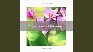 Bird Music and Lovely Grassland Music for Hard Relax pt. 2 screenshot 2
