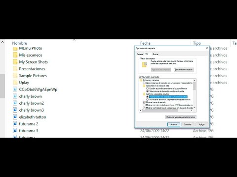 Video: Cómo Habilitar La Visualización De Archivos Ocultos