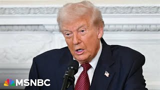 Celebrity President Trump really was on the ballot, says the WSJ editorial board Profile