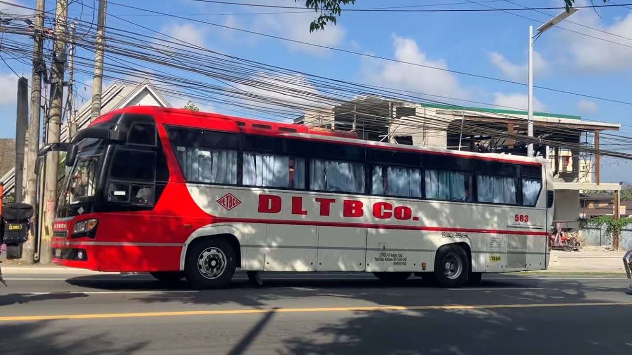 Hot Bus Spotting Action l February 28 2026