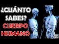 ¿Cuánto Sabes Sobre "EL CUERPO HUMANO"? Test/Trivial/Quiz