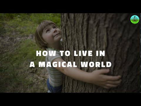 How To Live In A Magical World