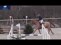 Billy at the arena eventing in Ballindenisk on 19/2/22