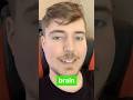 I Tricked MrBeast Into Singing Allstar