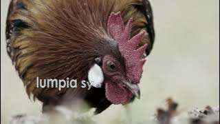 '80'' - Juan Paasa (lyric video)