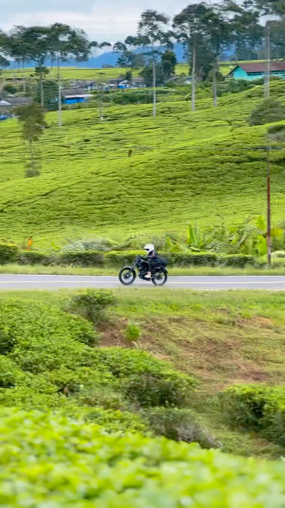 Ada yang tau ga ini siapa?                         #2stroke #2tak #rxking #rxs