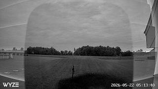 Weird moving black shape? Entity?
