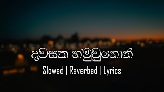 Dawasaka Hamuwunoth (දවසක හමුවුනොත්) - Hasindu Bhanuka [ Lyrics | Slowed | Reverbed]