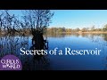 Secrets of a Reservoir