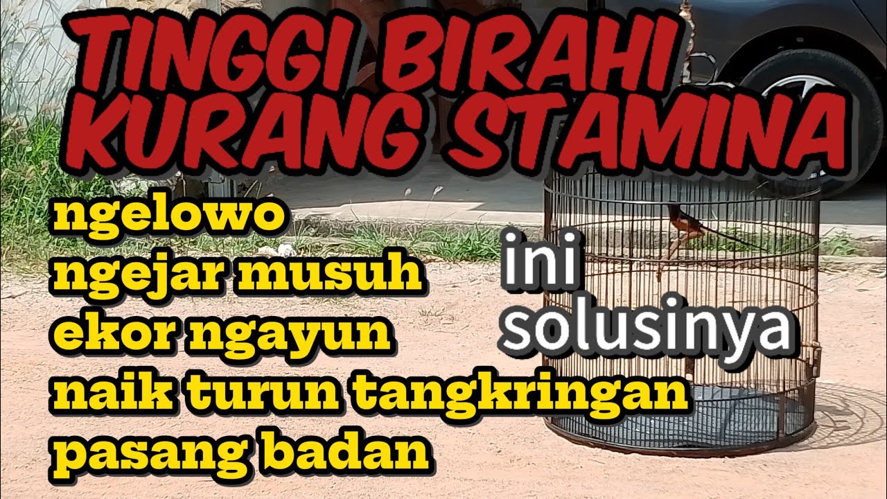 TINGGI BIRAHI KURANG STAMINA INI SOLUSINYA