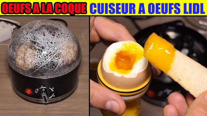 Silvercrest Egg Cooker SED 400 A1 TESTING - YouTube
