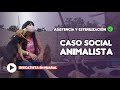 Caso Social Animalista