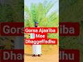 Gorsa Barnoota Qabu Ustaz Ibsaa Hassan Gorsa Barnoota Qabu Ustaz Ibsaa Hassan