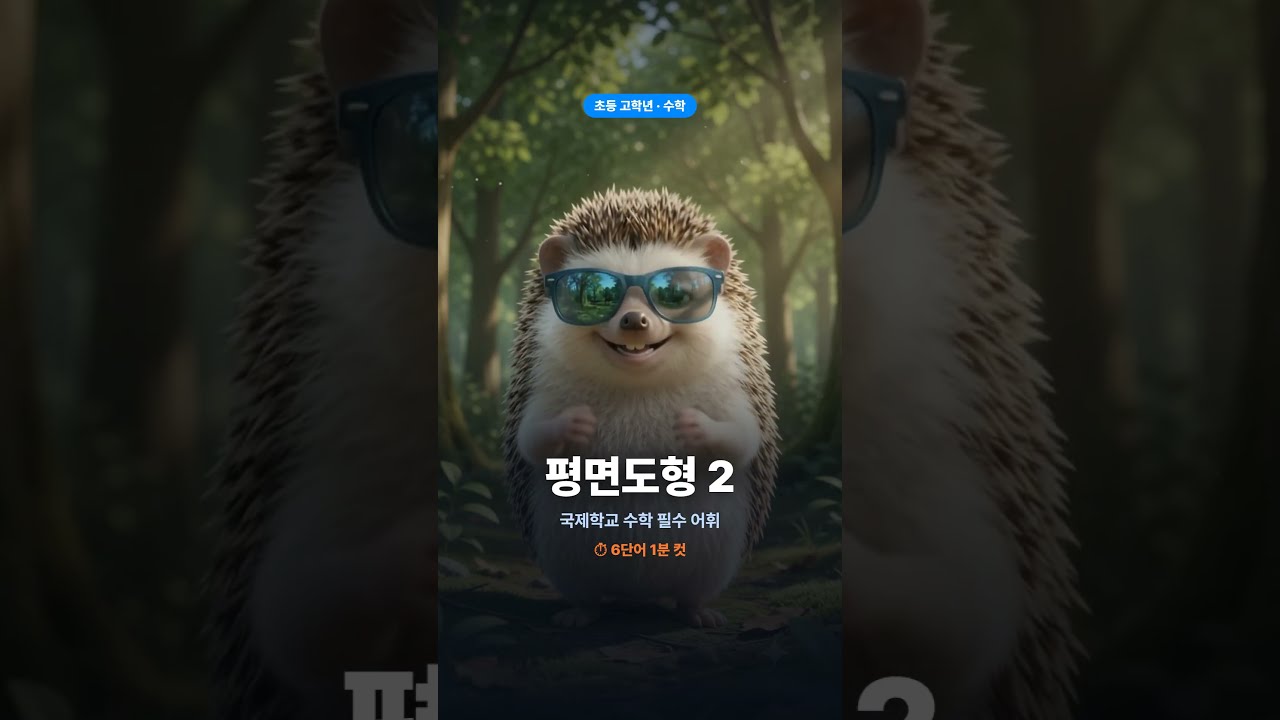 고도치와 함께 배워보는 국제학교 어휘 - 초등고학년 수학 평면도형 2편