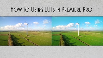 How to Using LUTs in Premiere Pro