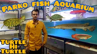 Delhi Chepaest Price Turtle for sale Red Eye slider  Jldi se lelo Fish stock update Parko Aquarium