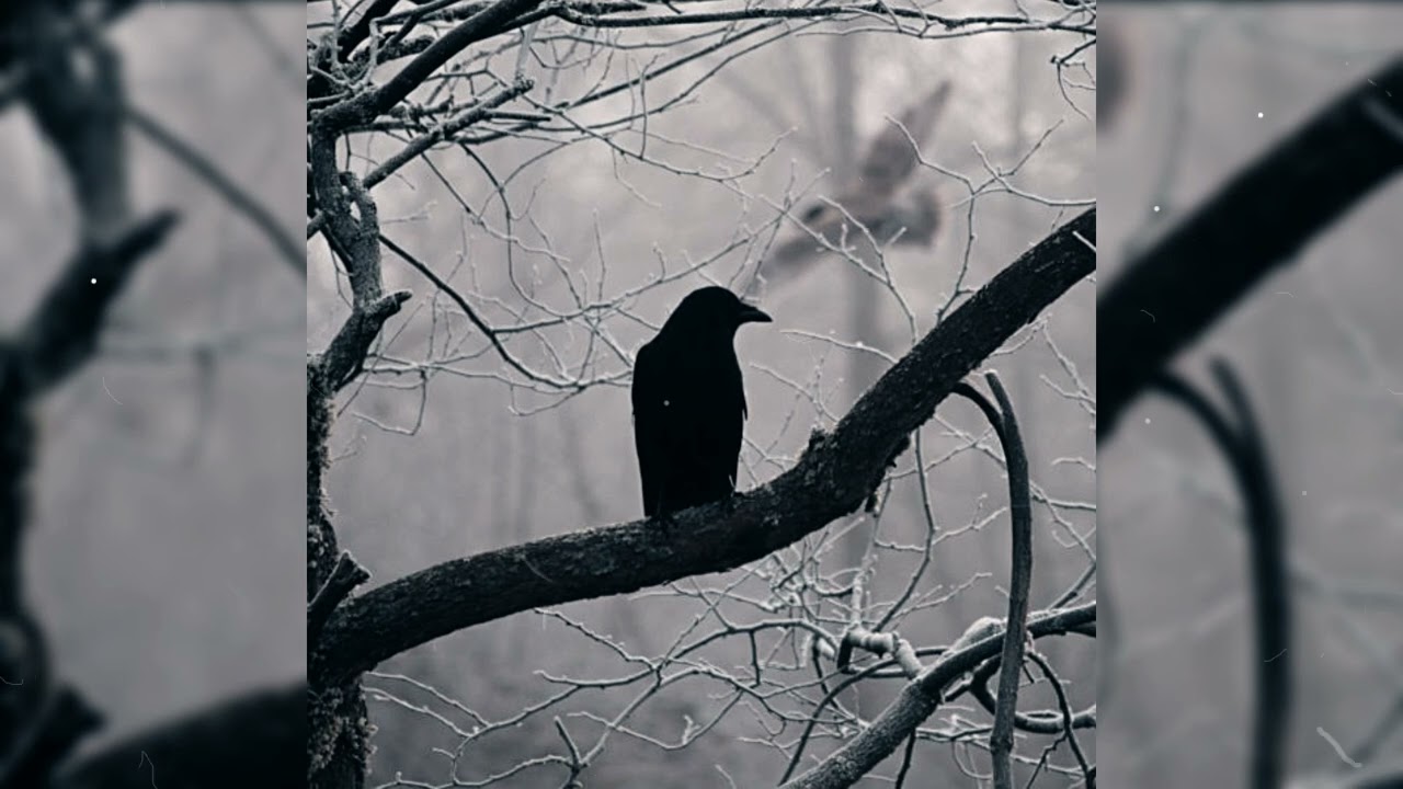 "Raven" | Dark Boom Bap Type Beat | Base de rap Boom Bap | Instrumental Hip Hop
