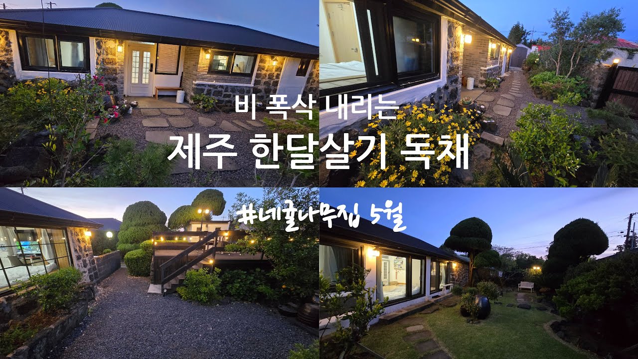 제주 동쪽 조천읍, 한달살기숙소 독채, 비오는날 5월 풍경: 네귤나무집 버킷리스트