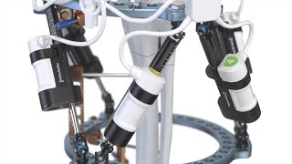 Famous Maxframe Autostrut Profile