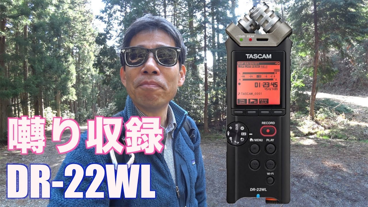 束芋 鳥の鳴き声の収録は難しい! DR-22WL Ufer! VLOG_221 Ufer! VLOG 221