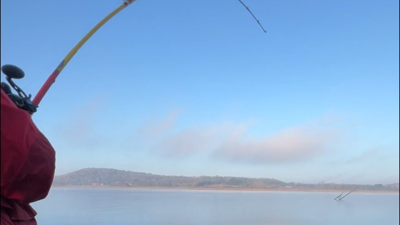 Striper Fishing Beaver Lake Ar 7 fish dayReelOzarkStriper GoPro Reel